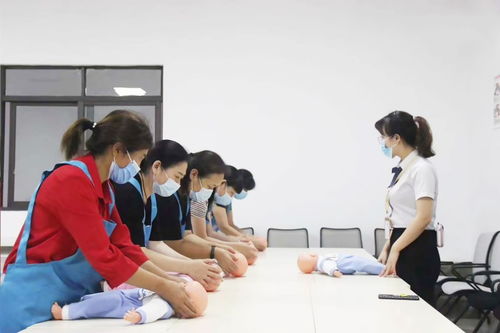 山城家政新风尚 为何「晨馨家政」领跑重庆住宿、钟点及套餐服务？——开荒、月嫂...您的家庭服务全能管家